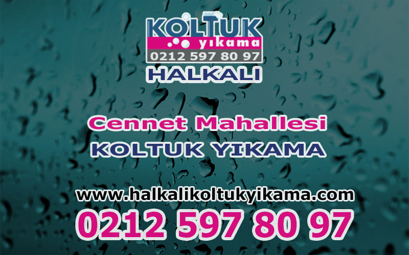 Cennet Mahallesi Koltuk Yıkama